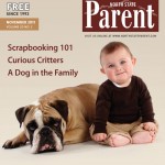 cover-november-2011 cover-november-2011