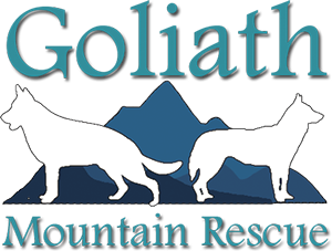 Goliath_logo