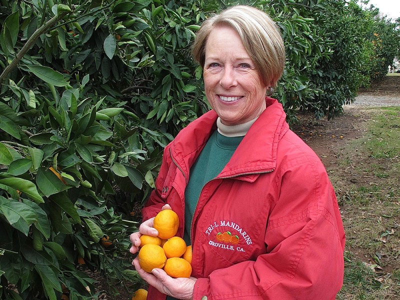 Lola Lodigiani, along with her husband and business partner Lou Lodigiani (known as "Farmer Lou" to many), loves working the land and bringing to harvest the best mandarins for taste, quality and sweetness. "It’s the love of serving our customers and the kids at school that gives us the energy every year to keep giving back to nature what nature gives to us," she says.