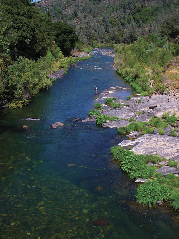 The Sacramento River Discovery Center – Learning About the River and