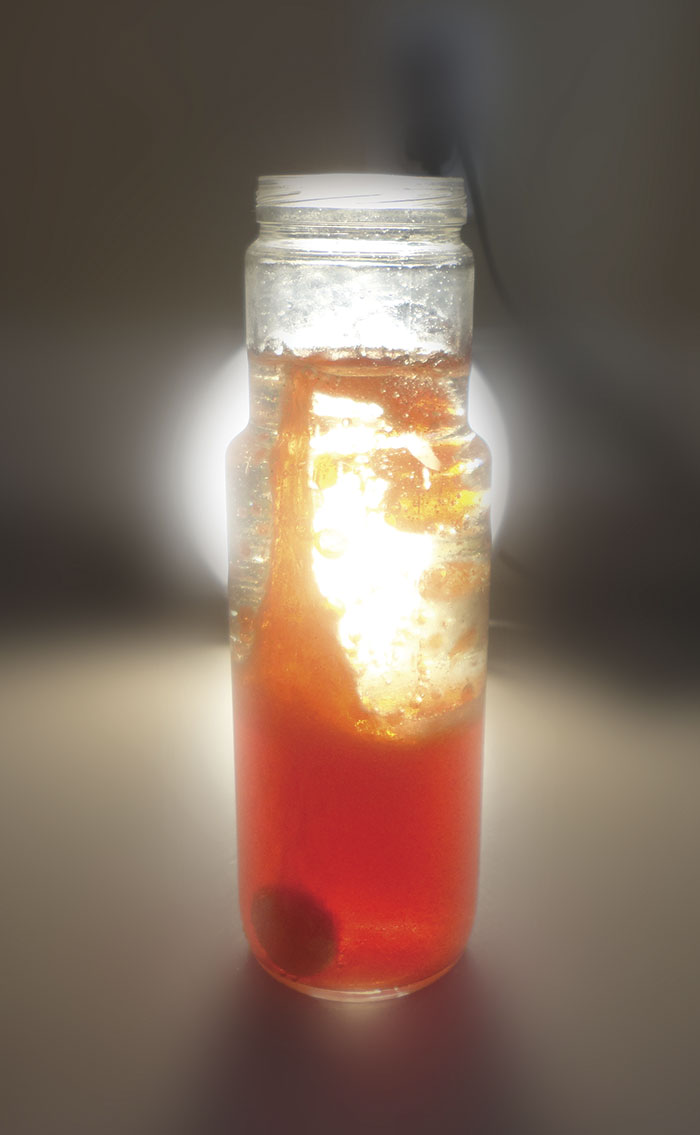Simple Science Experiments: Homemade Lava Lamp | North State Parent ...