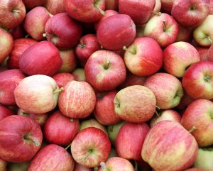 2018 Harvest Happenings at Manton Apple Festival