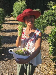 2018 Harvest Happenings at Sierra Oro Farm