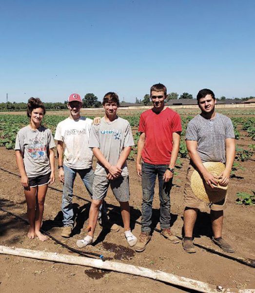 2018 Harvest Happenings at Henshaw Farm