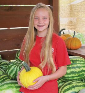 2018 Harvest Happenings at Julia's fruit stand