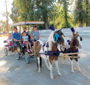 2018 Harvest Happenings at Patrick Ranch