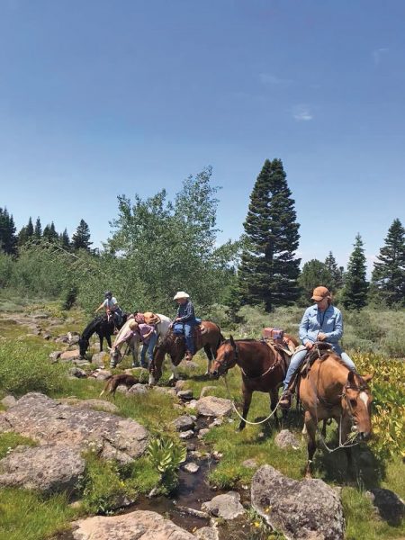 Hawes Family on horseback - north state parent