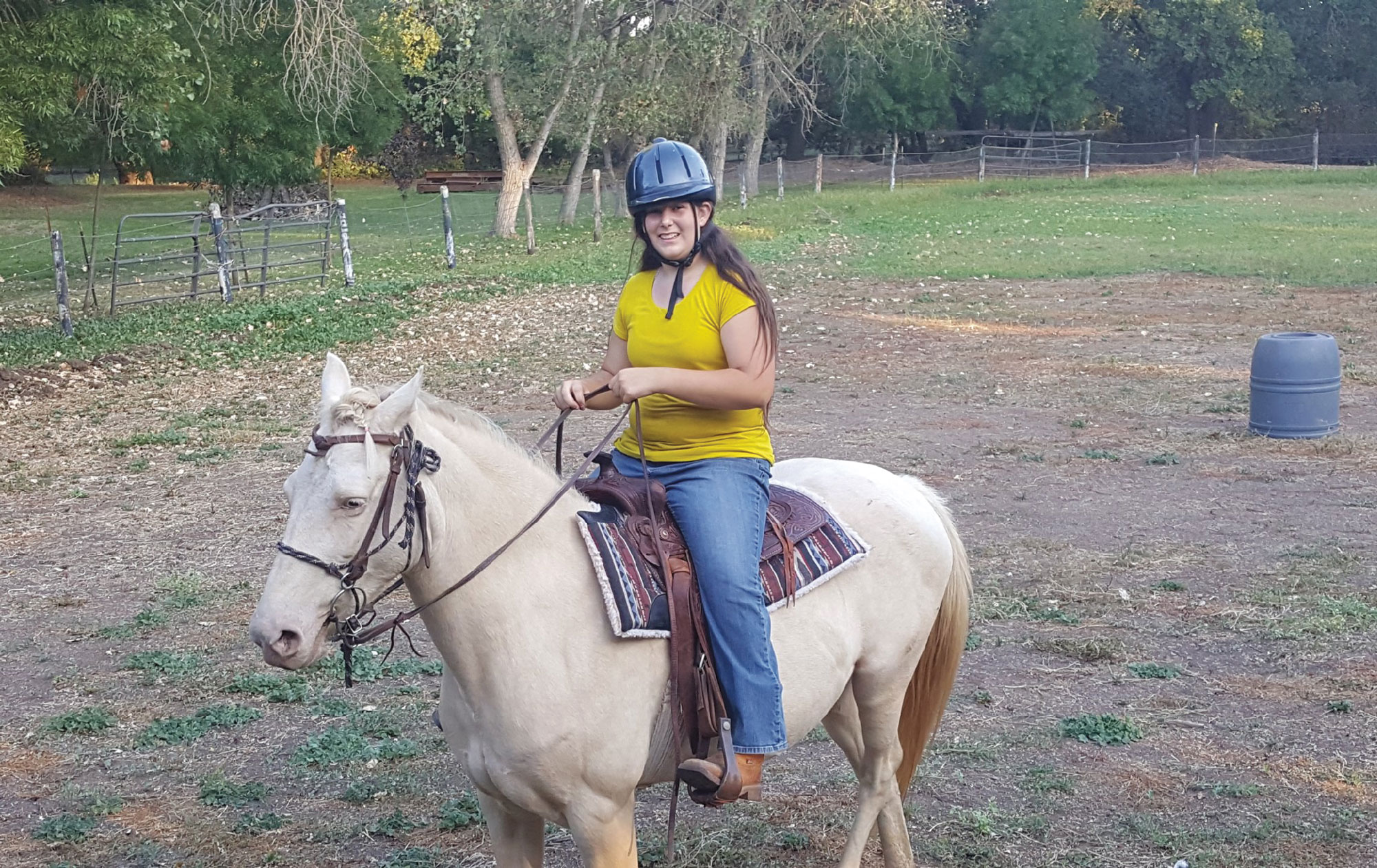 Anni s Santa Cruz Island Horses North State Parent magazine