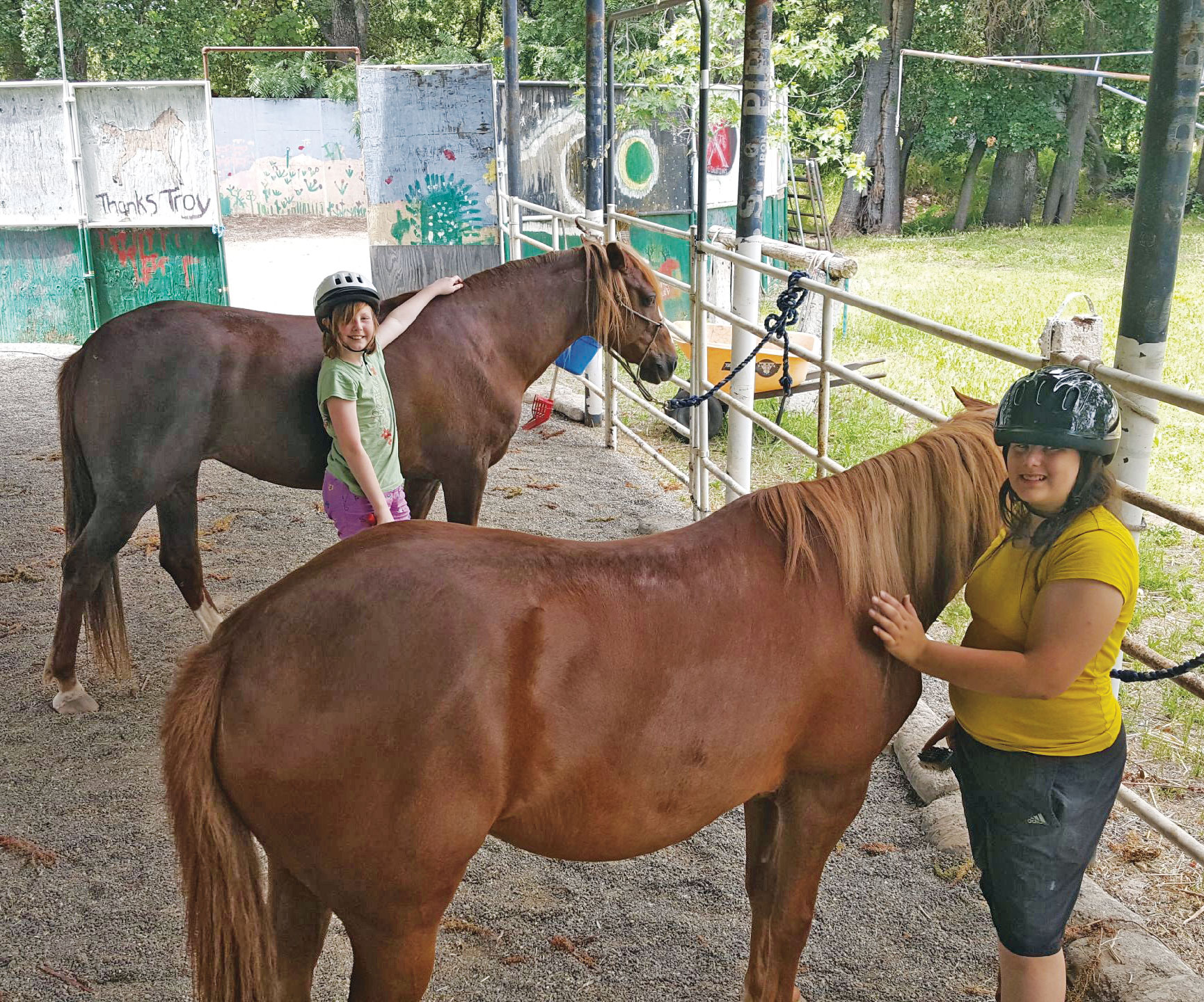 Anni s Santa Cruz Island Horses North State Parent magazine