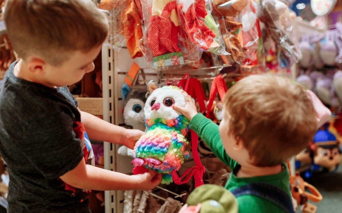 Toy Shops: Specialty & Locally Owned - North State Parent magazine
