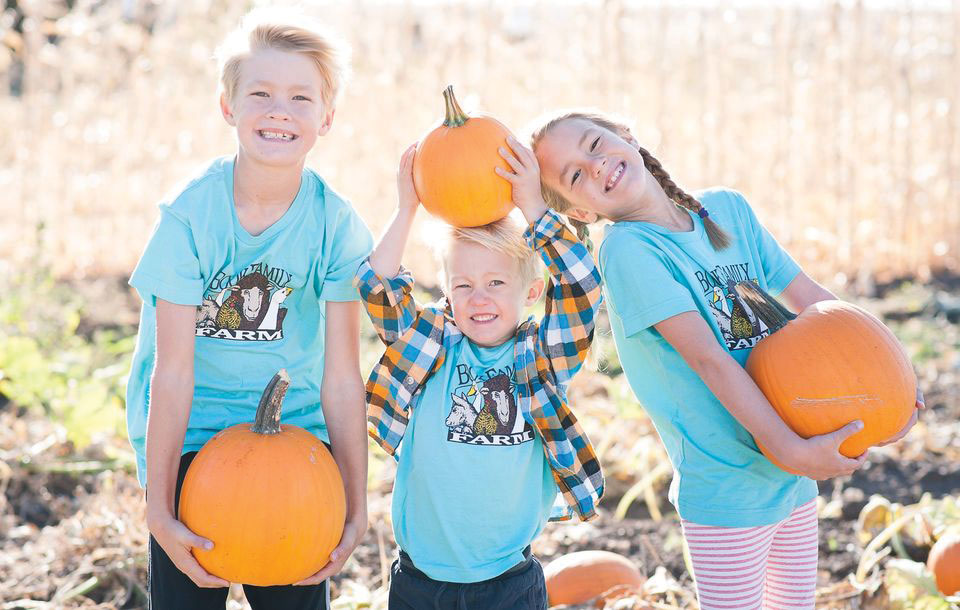 farm-pumpkins