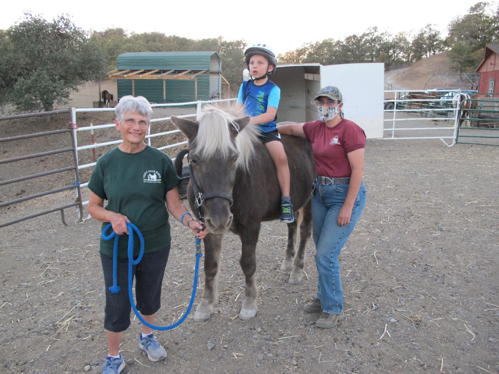 Equine Therapy - north state parent