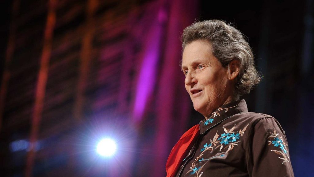 TED Talks for Busy Parents - temple grandin - north state parent