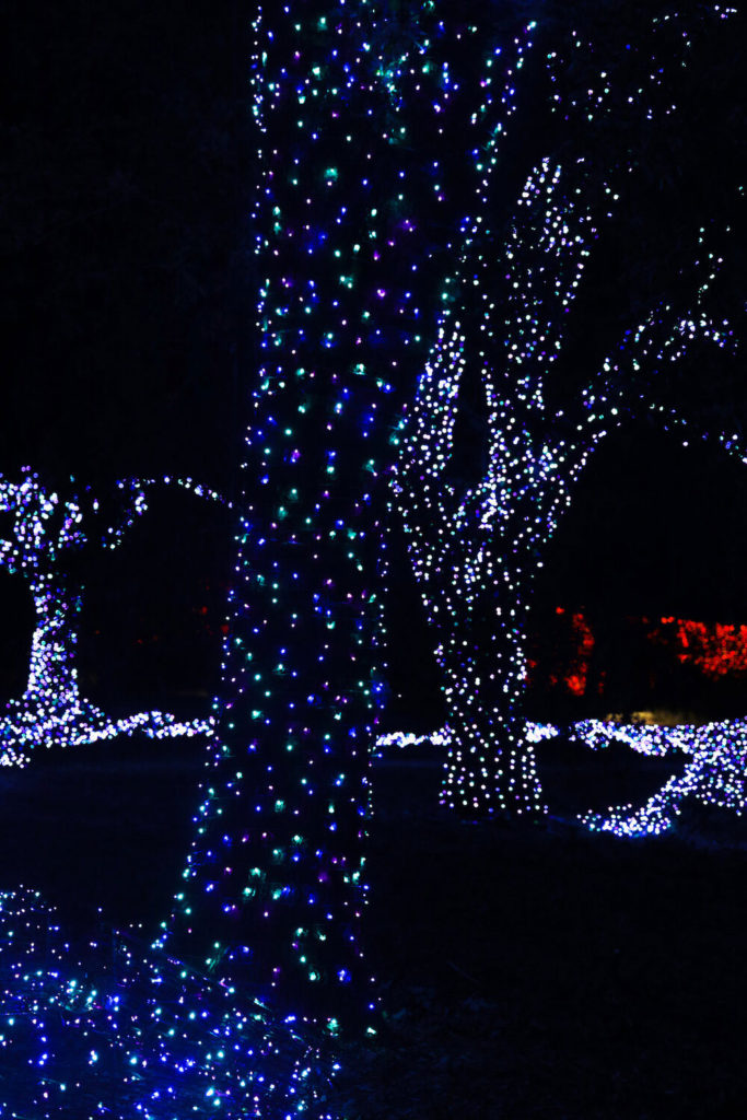 Family Activities To Celebrate The Holidays - christmas lights - north state parent
