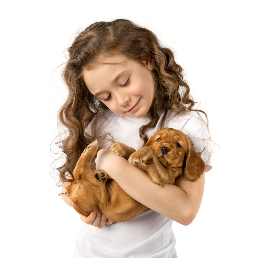 Emotional Benefits Of Pet Dogs For Kids - north state parent