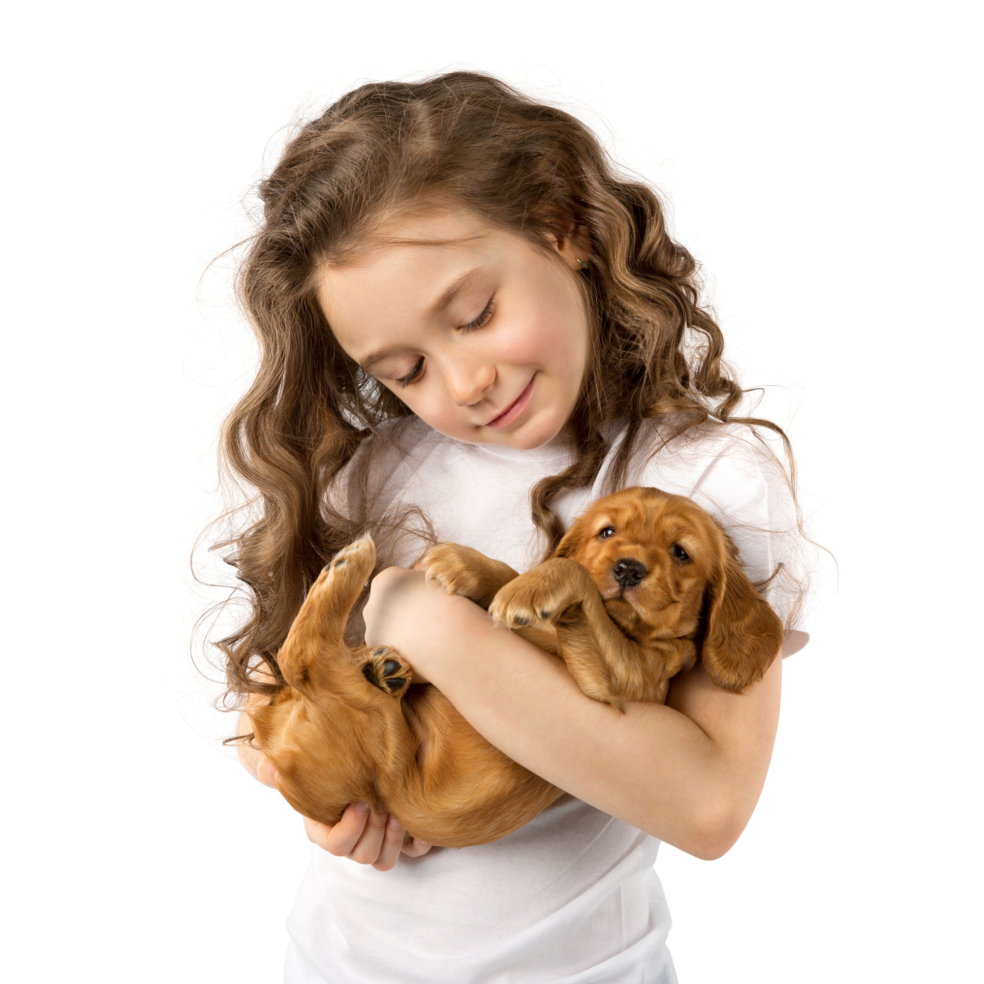 Emotional support dog for kids cheap