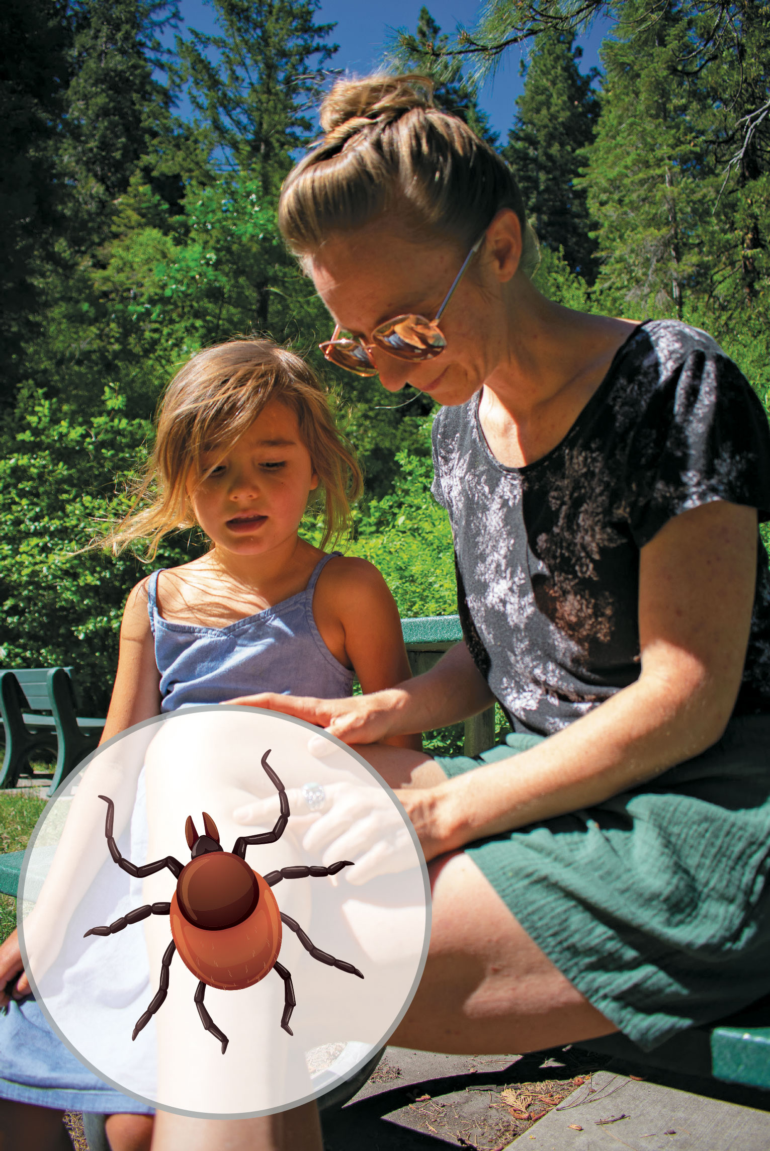 Tick Bites Can Be Serious - Know The Symptoms and Take Action - North ...