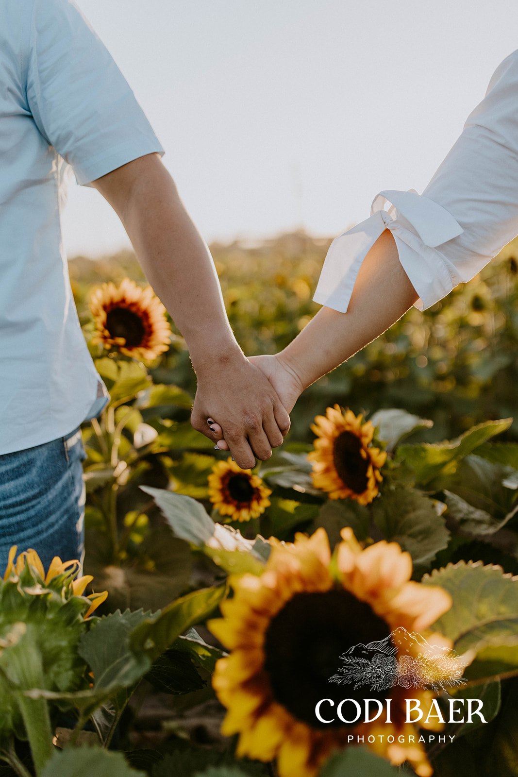Sunflower & Zinnia Festival North State Parent magazine
