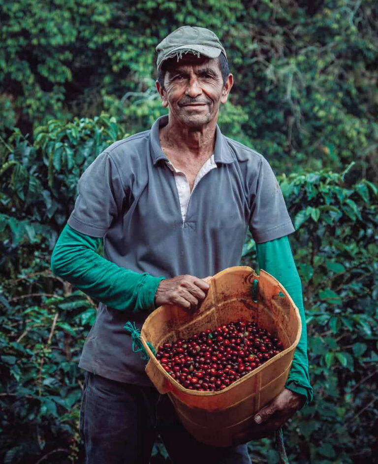 Buy Fair Trade: What it Means and How You can Make a Difference - North ...