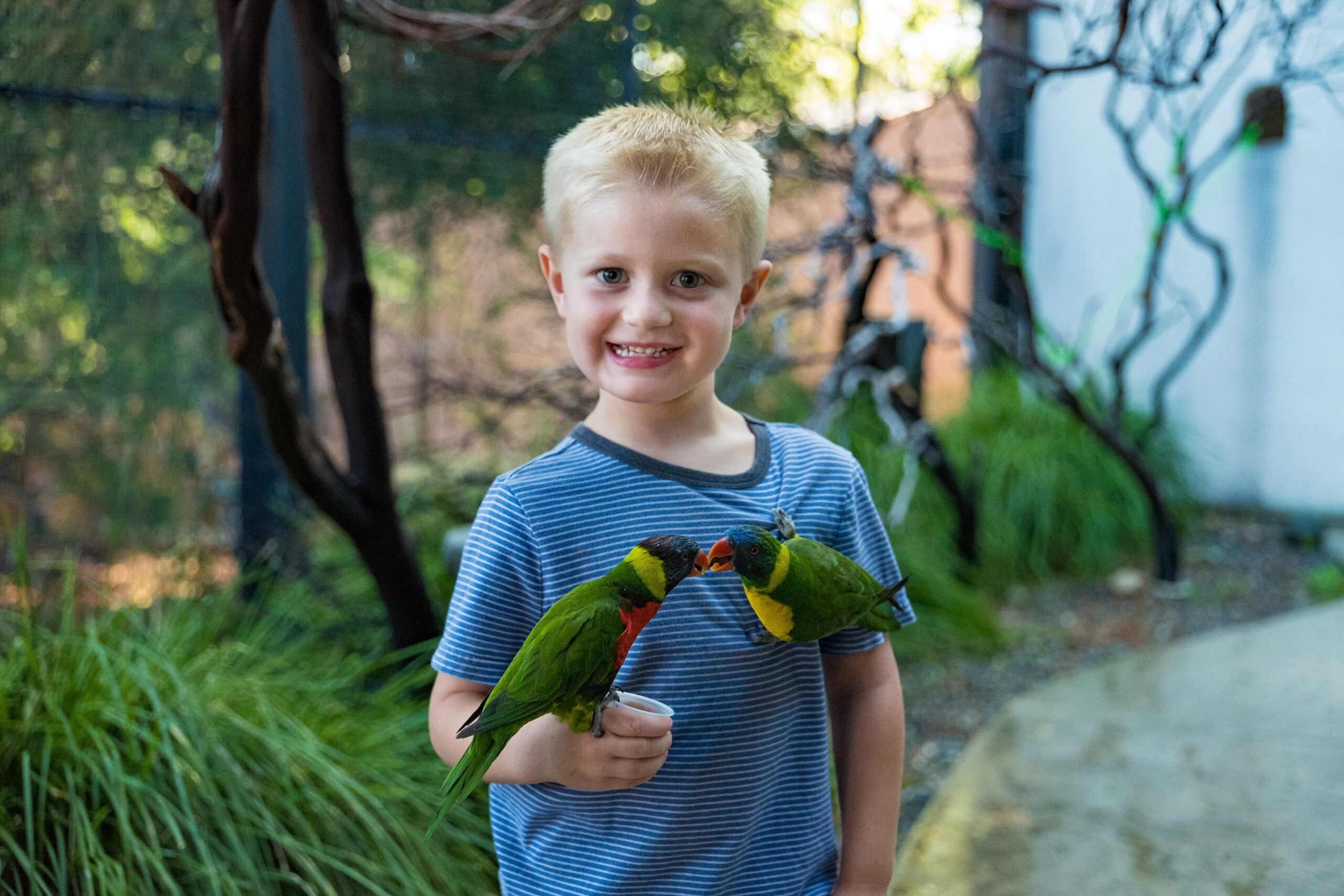 turtle-bay-exploration-park-north-state-parent-magazine