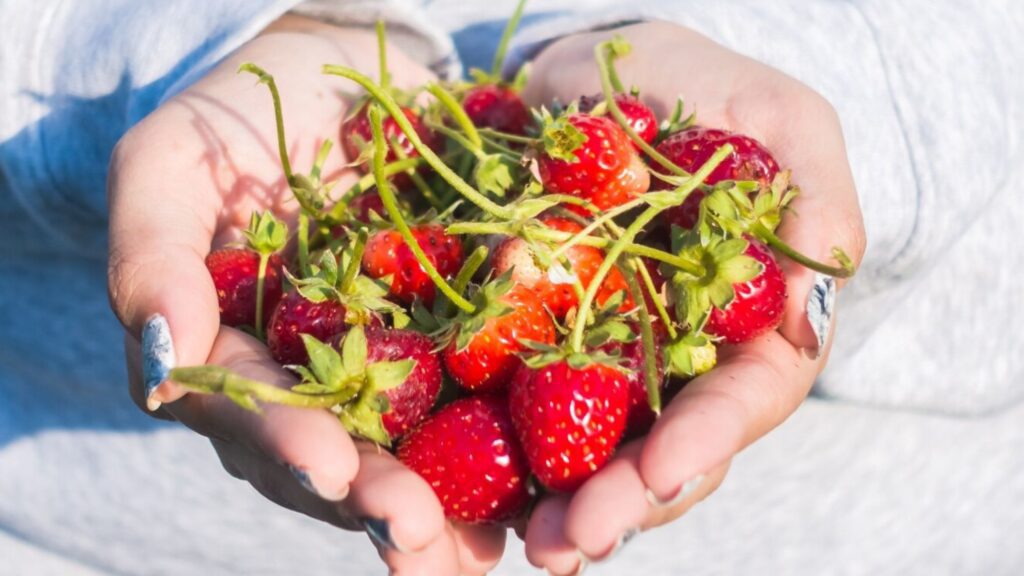 Strawberries