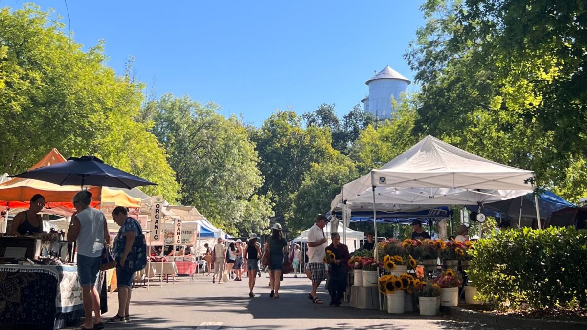 Chico Farmers Saturday Morning Market - North State Parent magazine