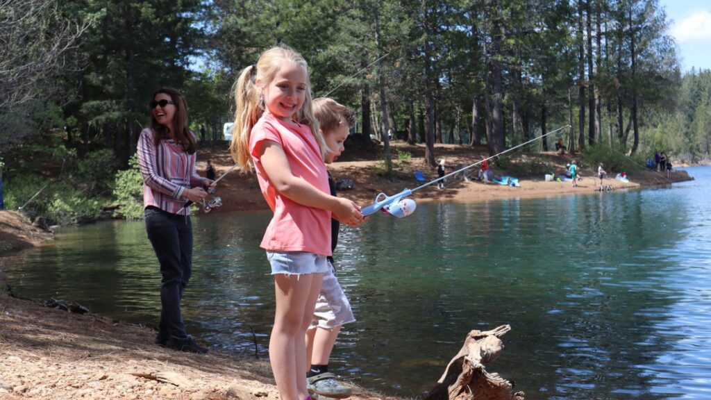 xr:d:DAF3ucHmdTE:1098,j:2195929794548370821,t:24041519