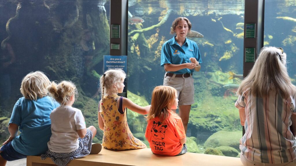 Water-Wonders-Turtle-Bay-Web-1