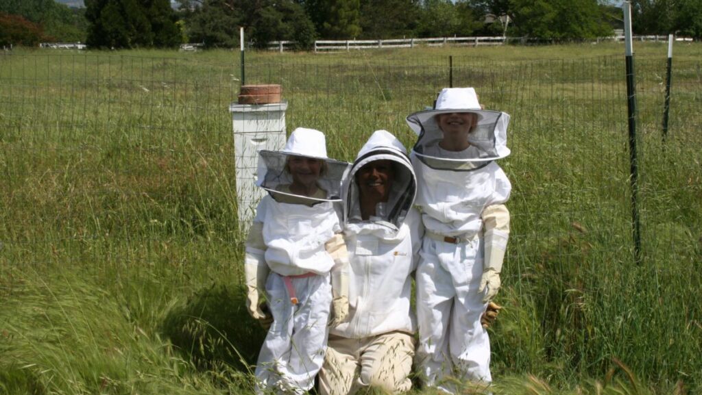 Beekeeping