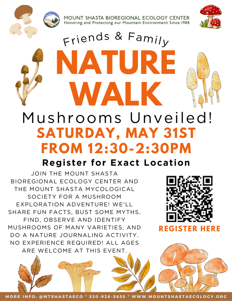 Mushroom nature walk