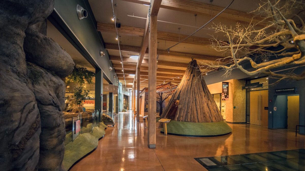 Sensory Hour at the Museum