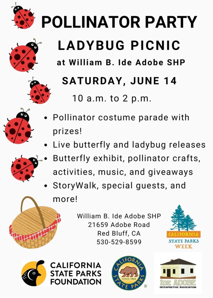 Ladybug Picnic Flyer (2)