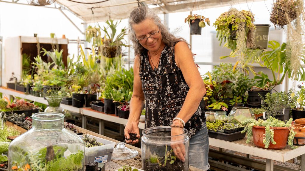 PW_Terrarium_1920x1080