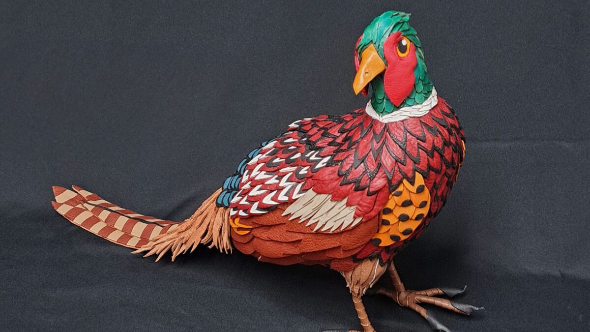 Baltie’s Birds at Turtle Bay