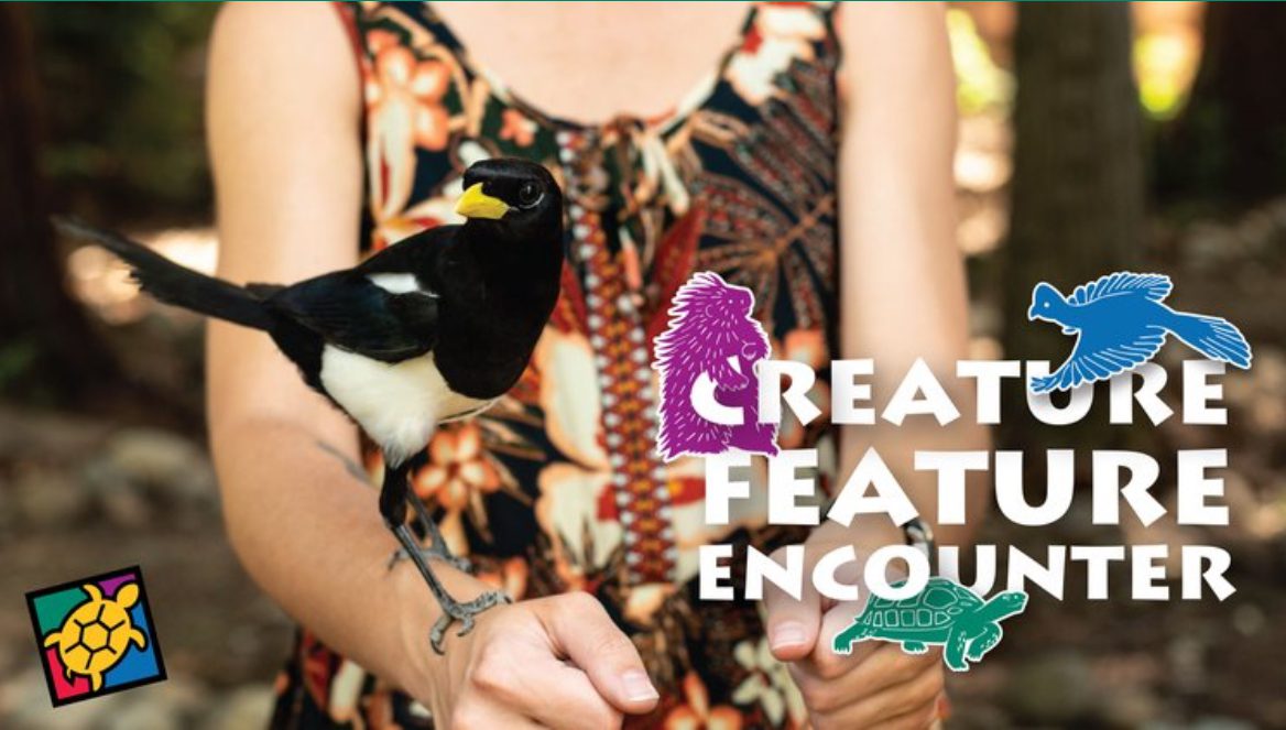 Creature Feature Encounter - North State Parent magazine
