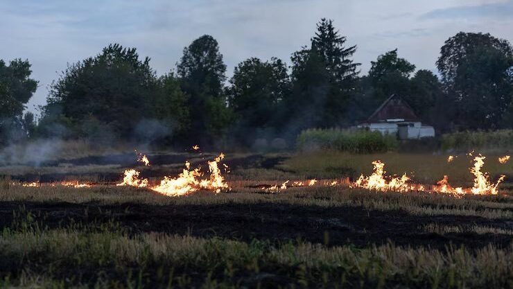 firescaping