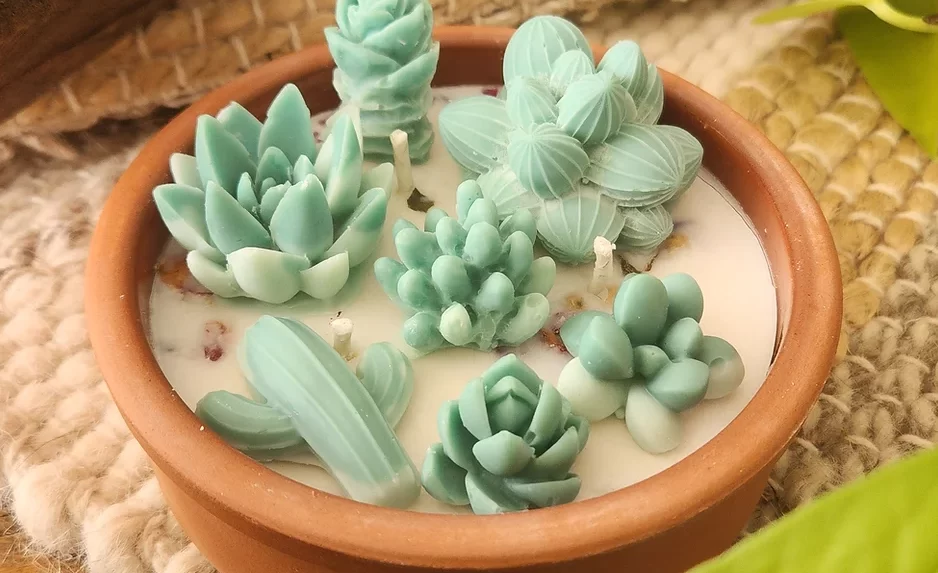 Succulent Candle Garden and Workshop
