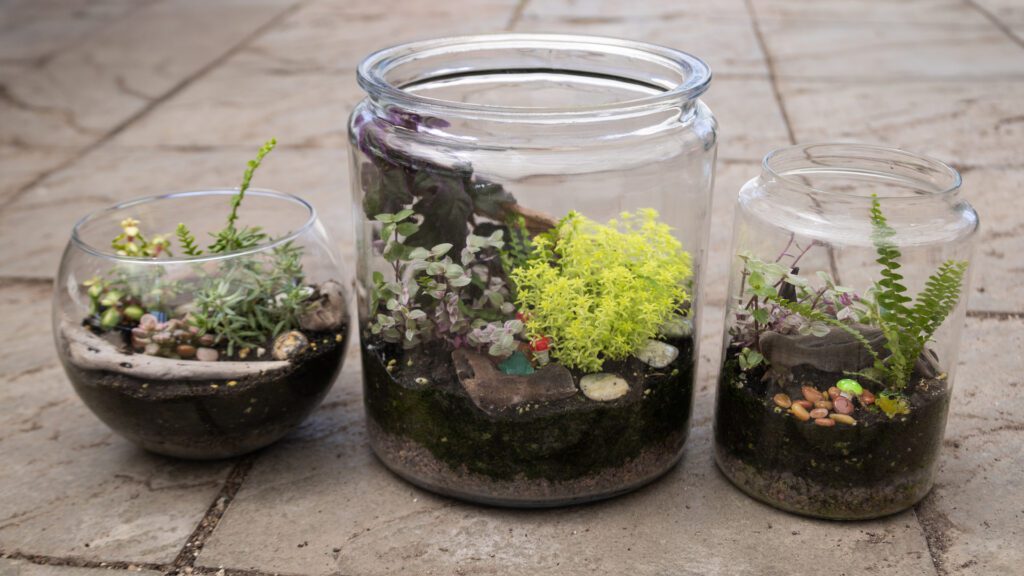 PW_Terrarium_2_1920x1080