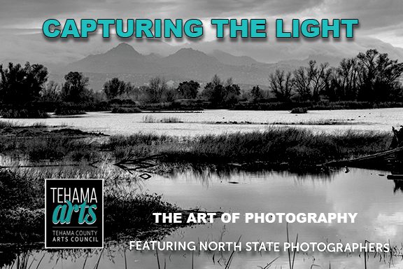Capturing The Light: The Art Of Photography