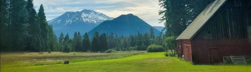 LuginBuhl-Ranch-Summer-2024-header-image