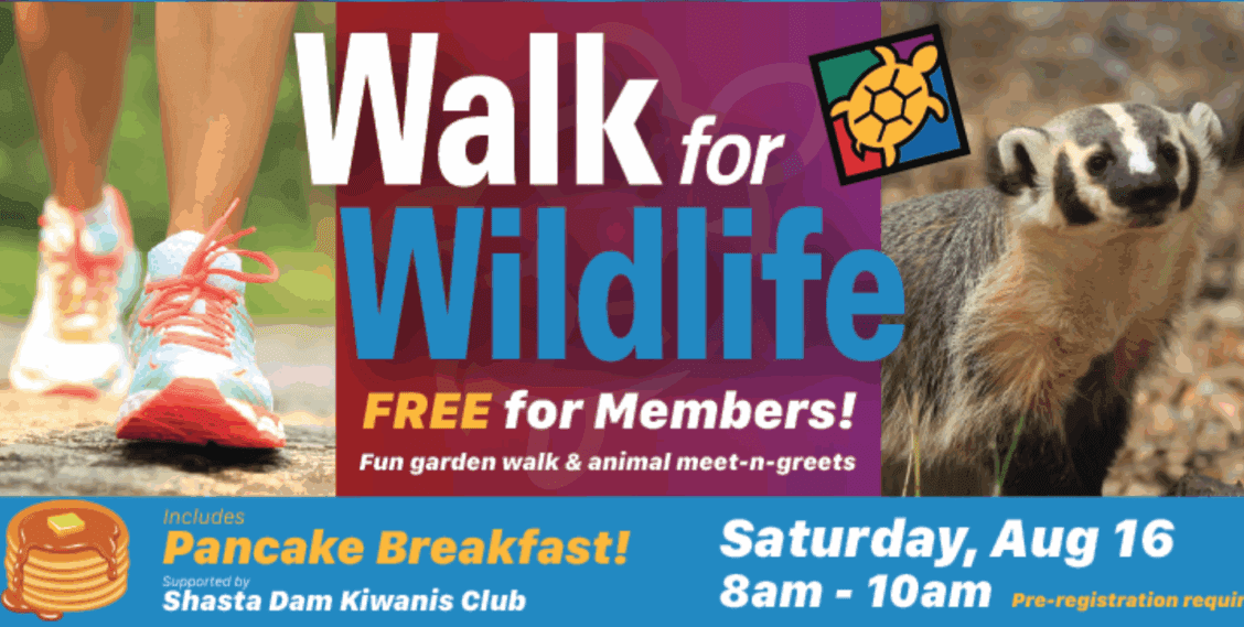 Turtle Bay’s Walk For Wildlife (members only)