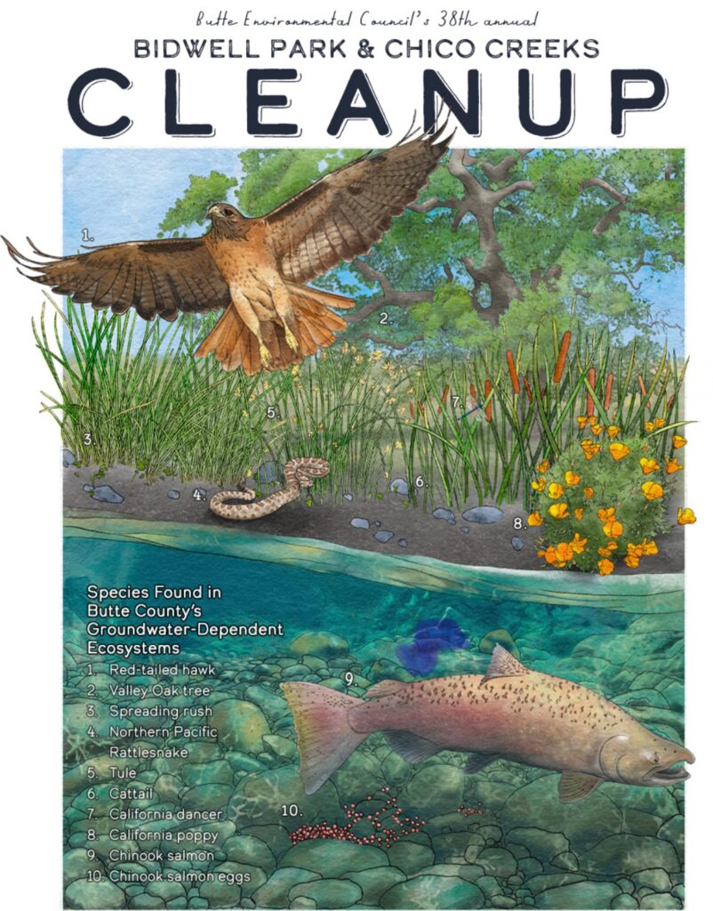 Screenshot 2025-08-12 at 7.07.24 PM