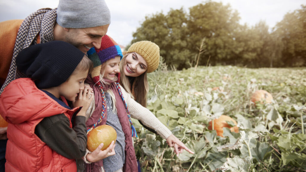 Family found the biggest pumpkin in the field