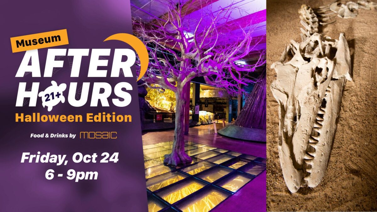 After_Hours_Seamonsters_1920x1080