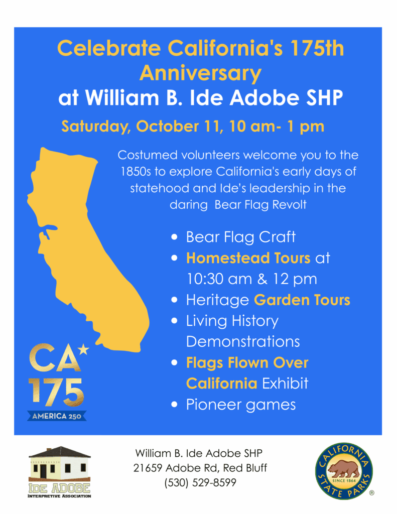 CA 175th Event Flyer Ide Adobe SHP
