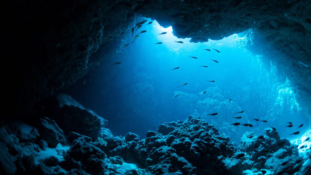 Family2ndsat_DeepSea_1920x1080