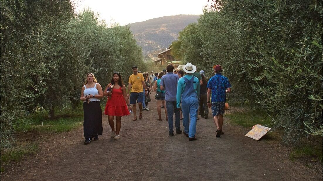 34th Annual Hoes Down Harvest Festival