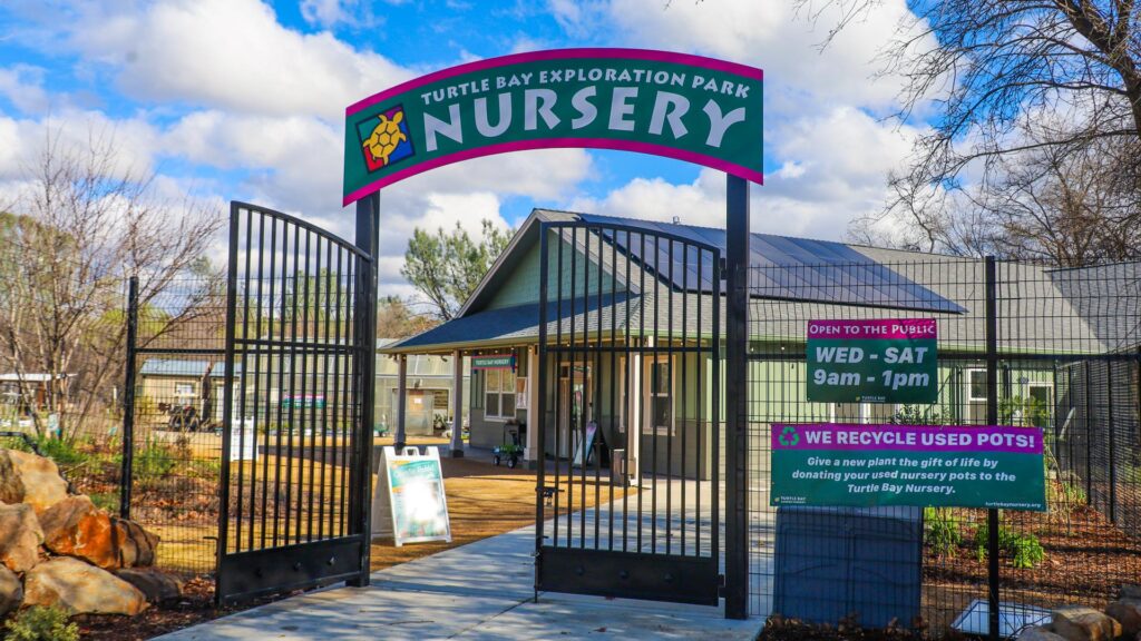 Nursery_Gate_8778_1920x1080