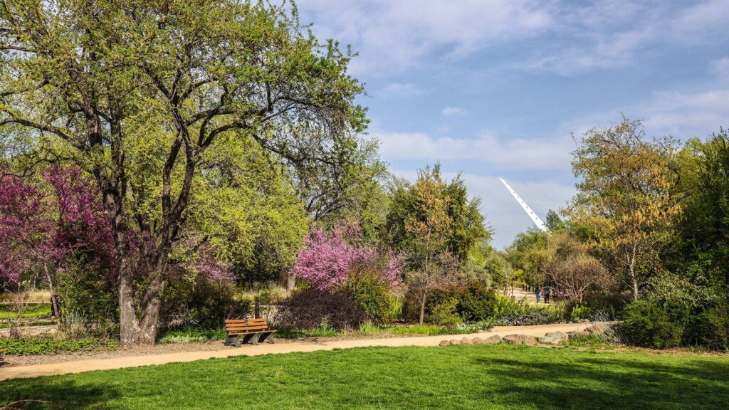 Guided-Garden-Walk-Turtle-Bay-Botanical-Gardens-Web-1