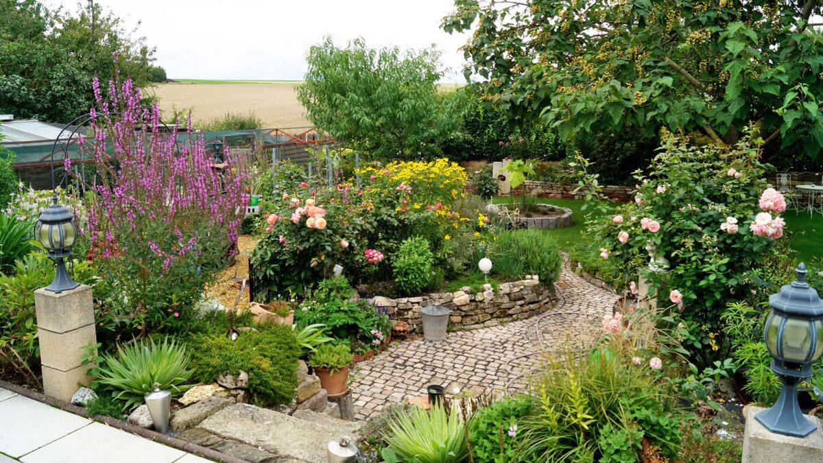 Plant Talk: Garden Bones & Garden Structures